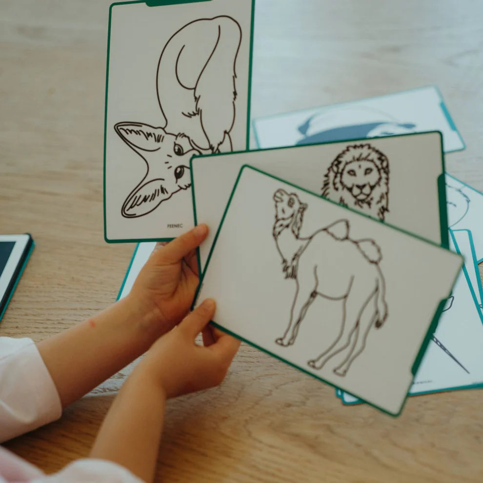 Kidydraw Pizarra Libro Mini