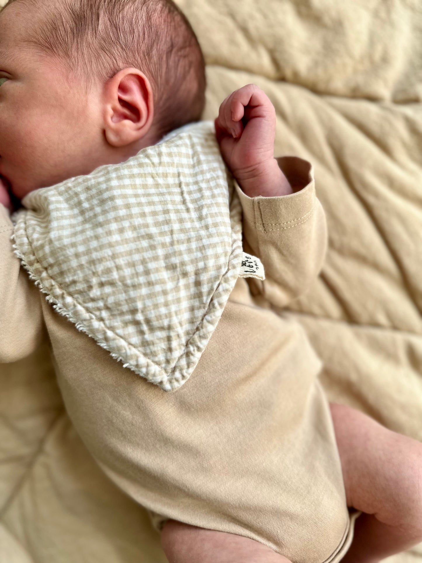 Babero bandana