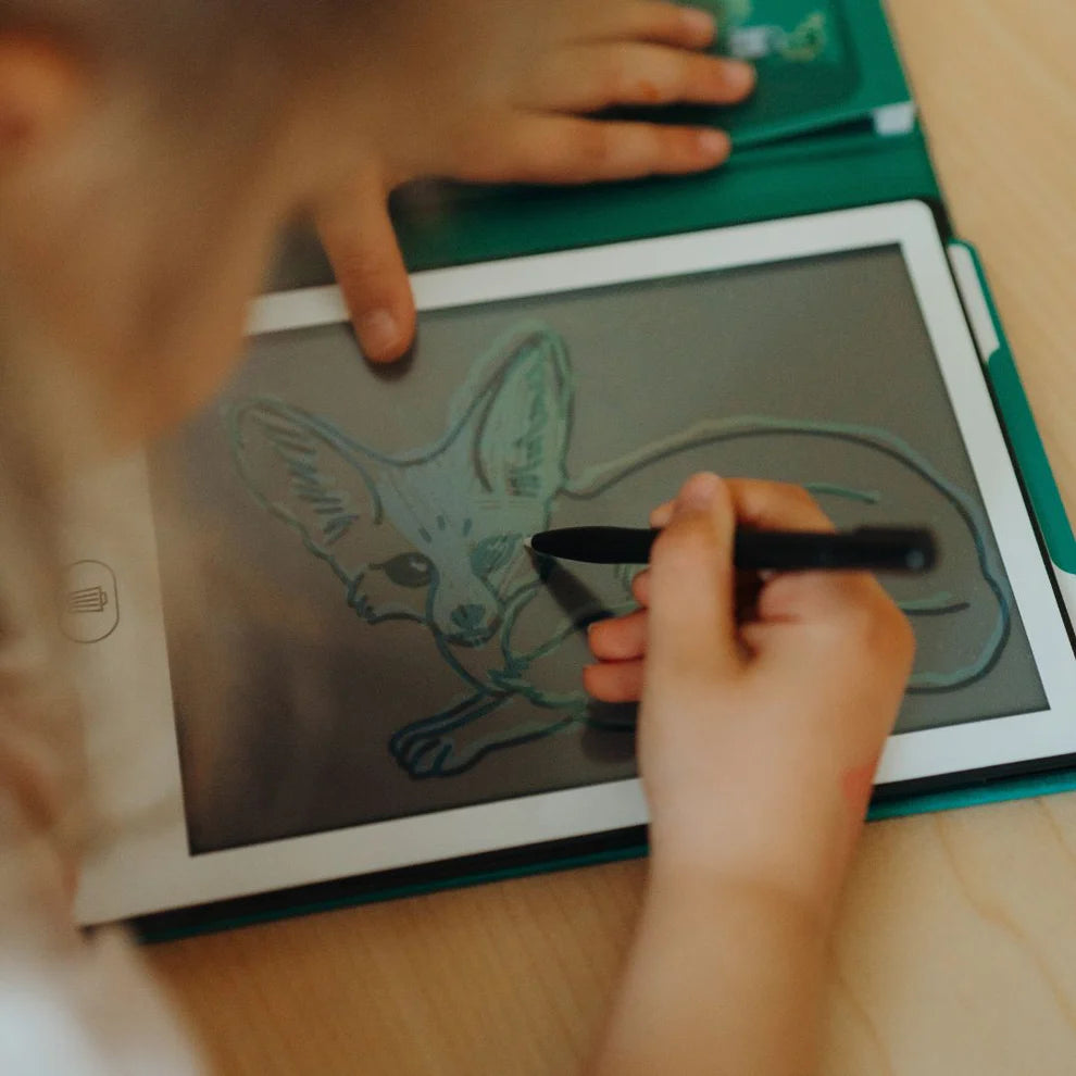 Kidydraw Pizarra Libro Mini
