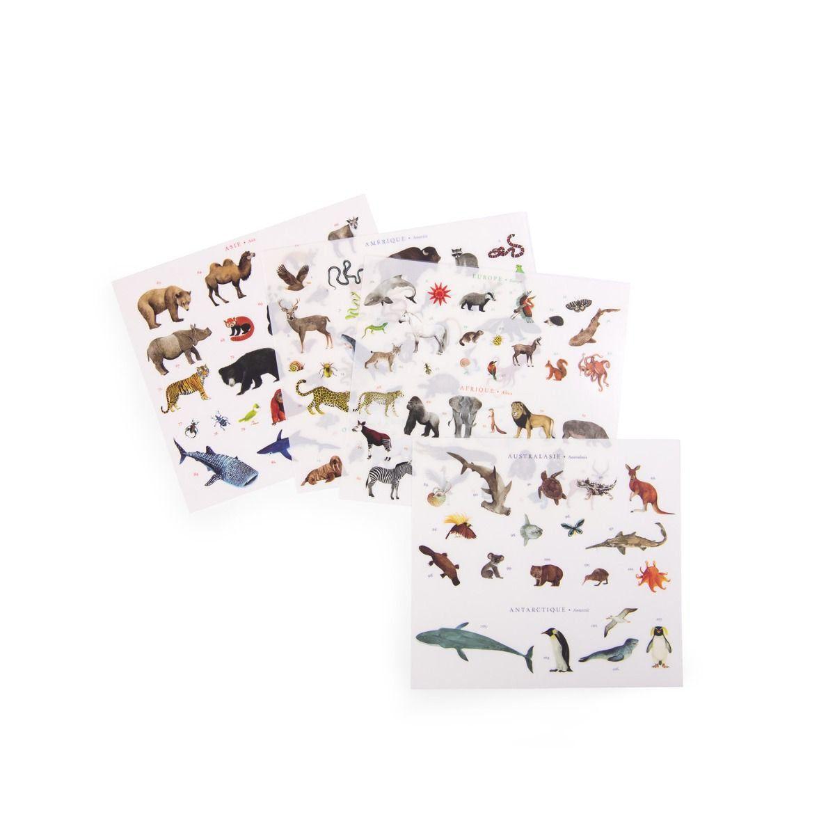 Calcomanías - Mapa con Animales del Mundo