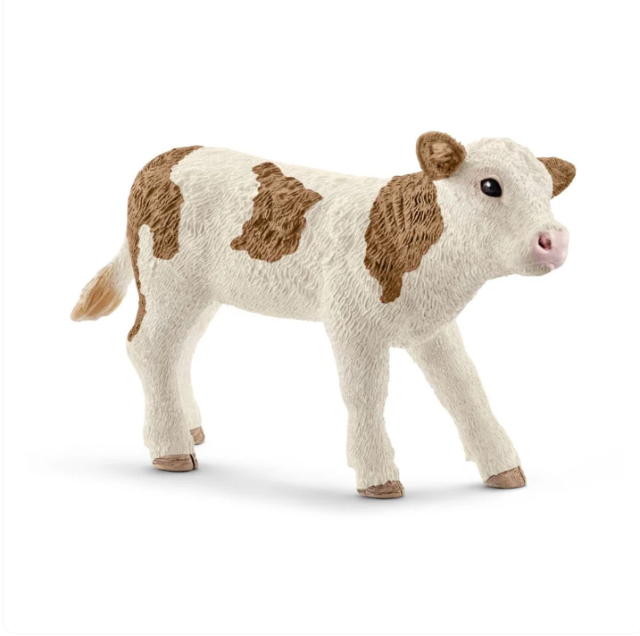 Ternero Simmental