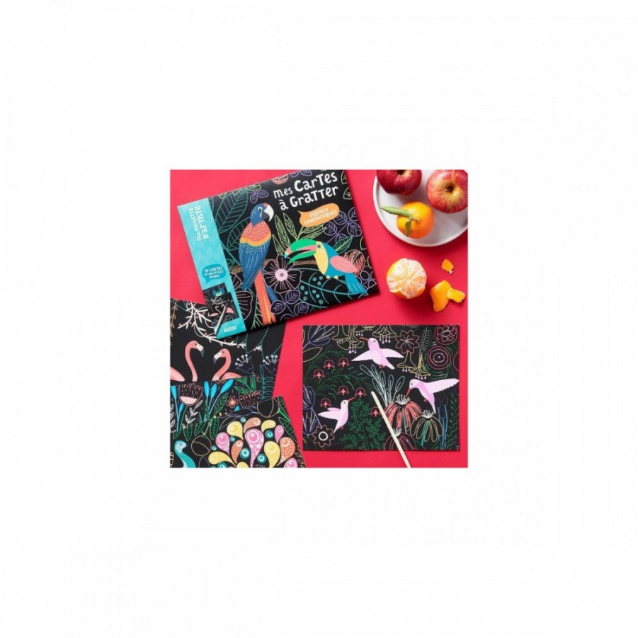 Láminas para Raspar Pájaros