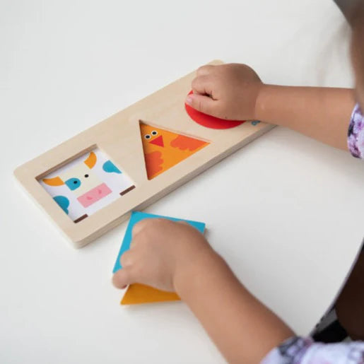 Formabasic Puzzle de Botón
