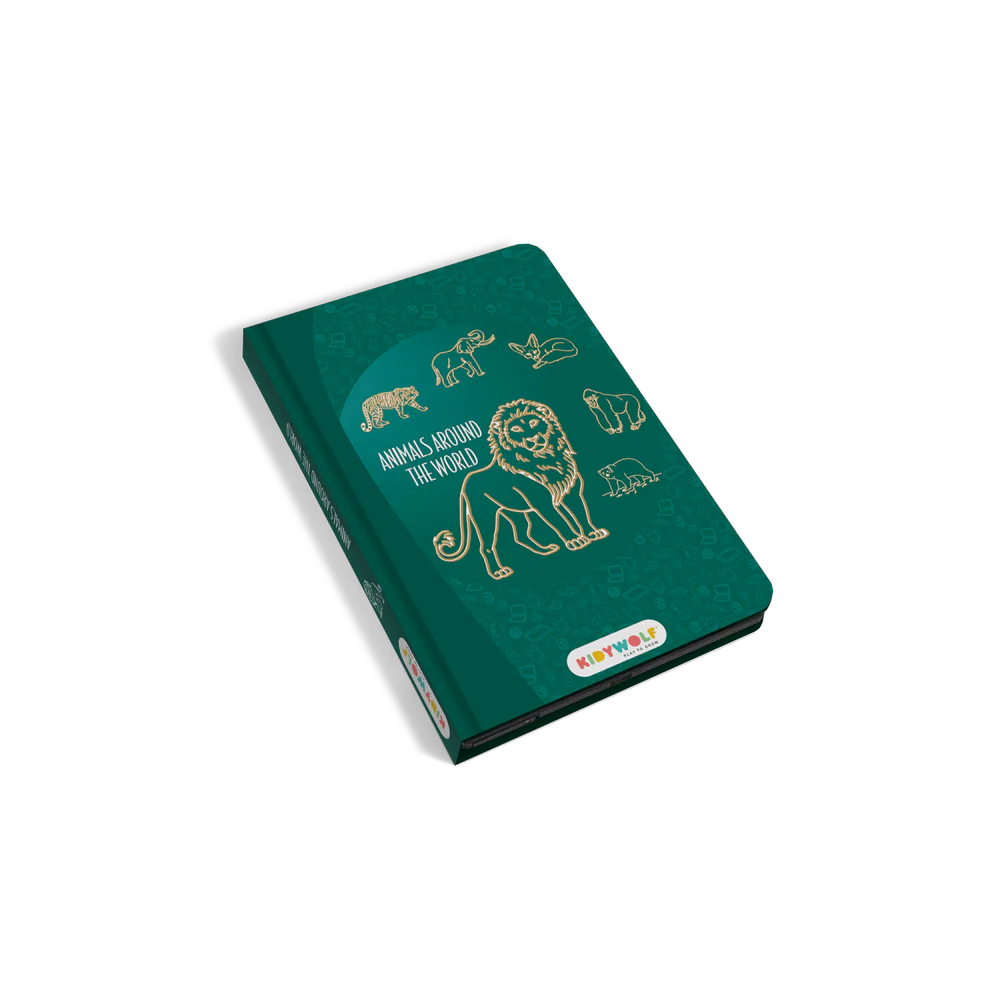 Kidydraw Pizarra Libro Mini