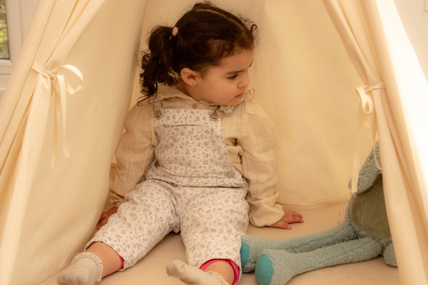 Carpa Tipi