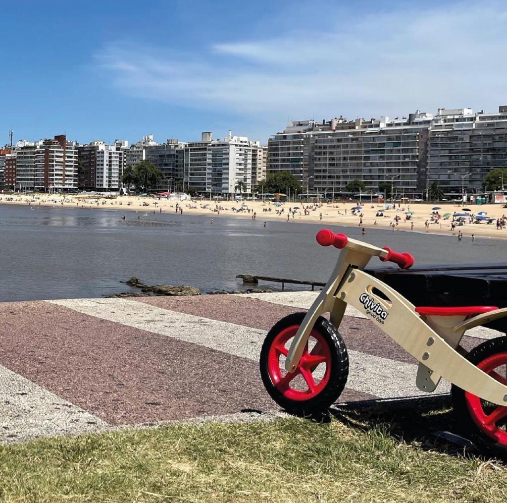 Bici Chivita (diversos diseños)