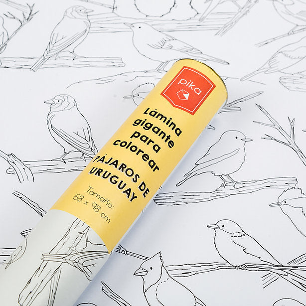 Lámina gigante para colorear - Pájaros del Uruguay