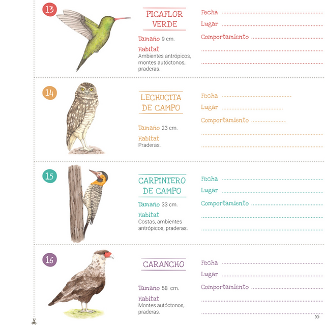 Libro de Actividades - Conociendo las aves del Uruguay