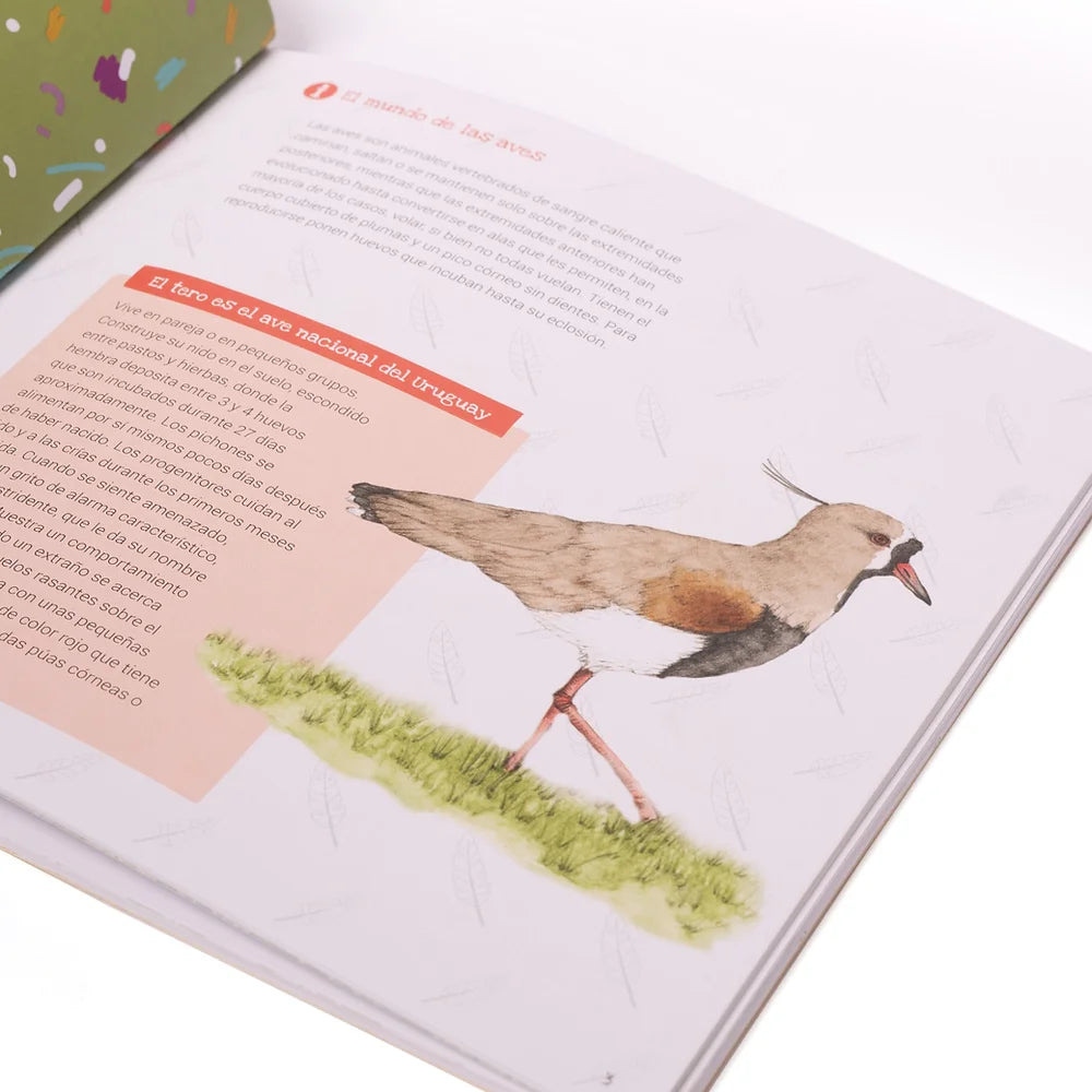 Libro de Actividades - Conociendo las aves del Uruguay
