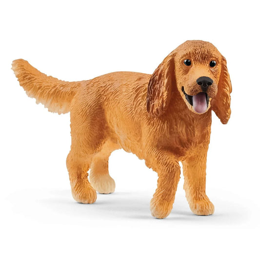 Perro Cocker Spaniel