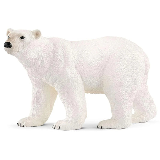 Oso polar