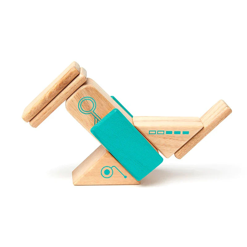 Tegu Robo