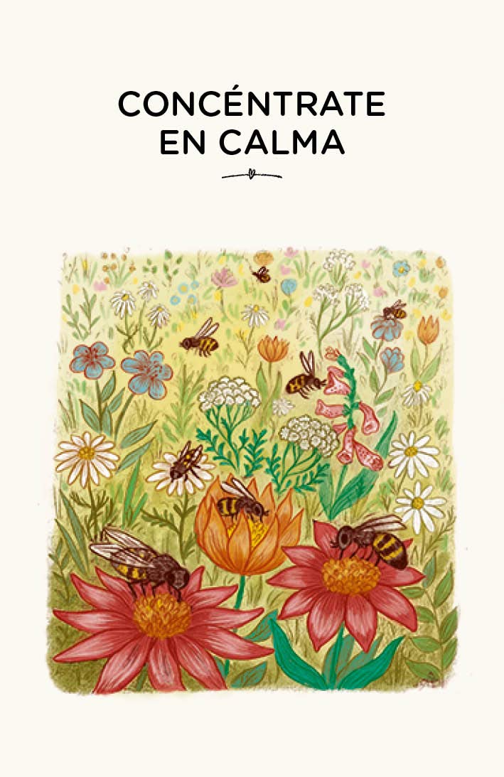 Cartas Con Calma