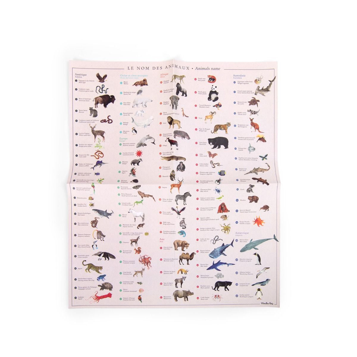 Calcomanías - Mapa con Animales del Mundo