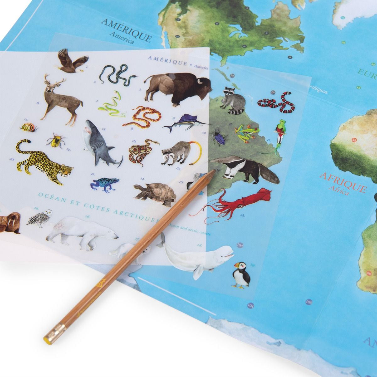 Calcomanías - Mapa con Animales del Mundo
