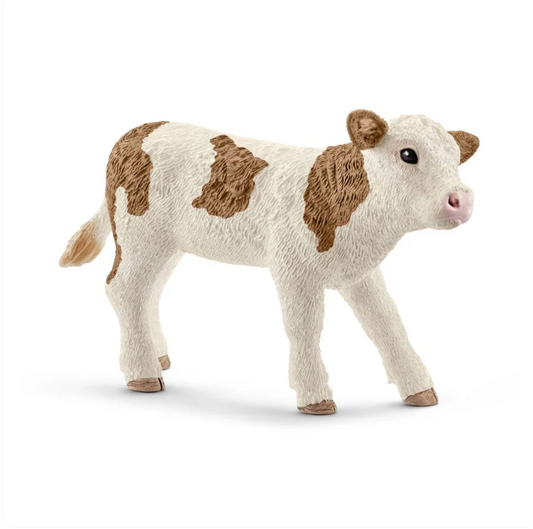 Ternero Simmental