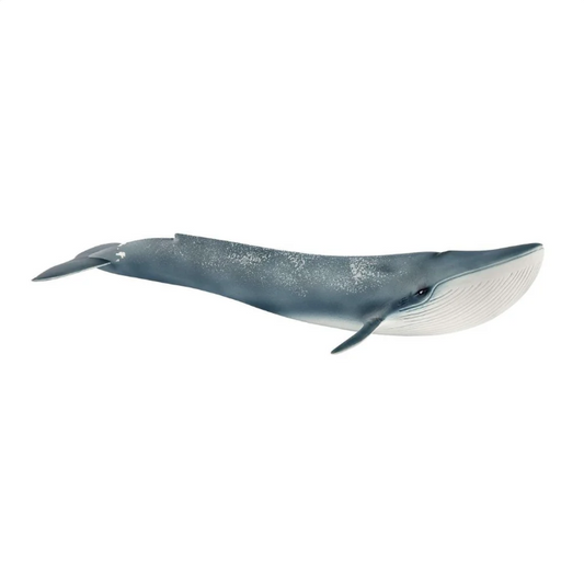 Ballena azul
