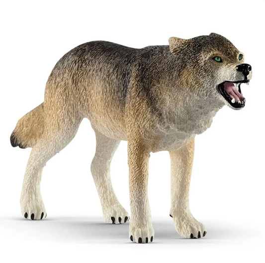 Lobo