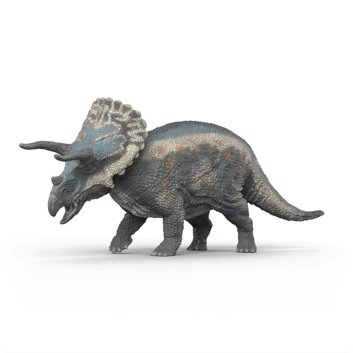 Triceratops