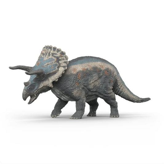 Triceratops