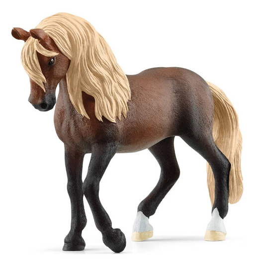 Caballo Paso Peruano