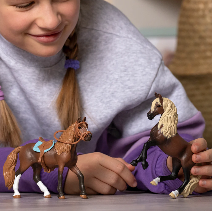 Caballo Paso Peruano