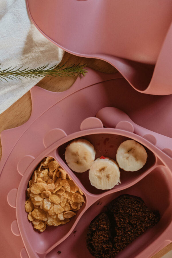 Set de Alimentación Dino - 5 Piezas