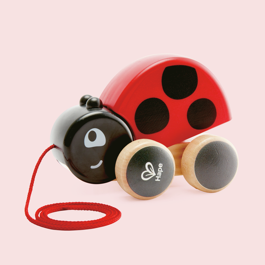 San Antonio de arrastre