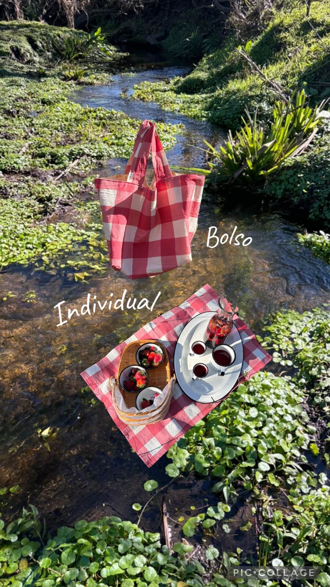 Set Picnic: bolso + mantel