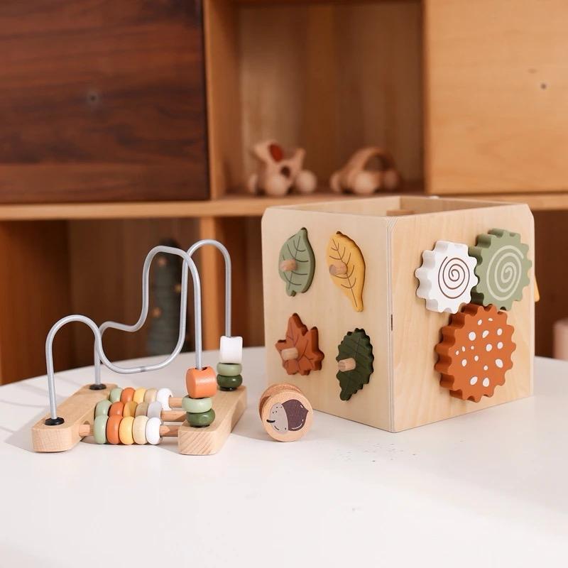 Cubo de Actividades