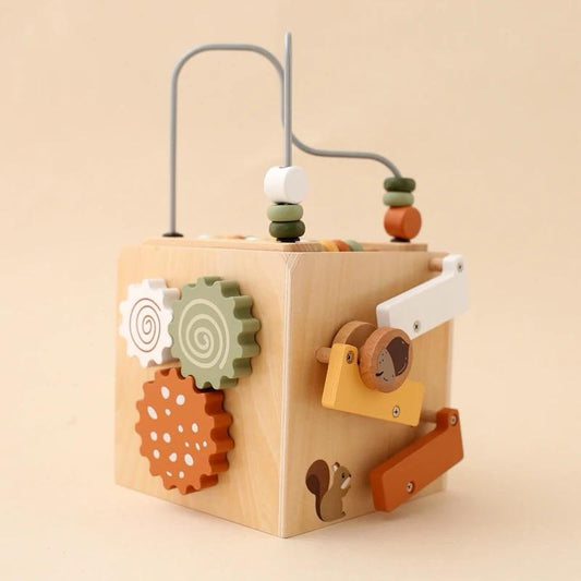 Cubo de Actividades