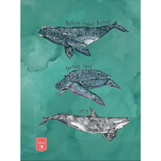 Libreta Animales Marinos