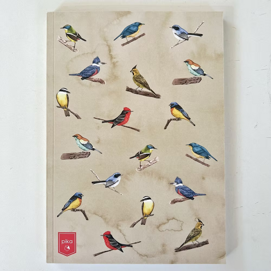 Libreta Aves del Uruguay