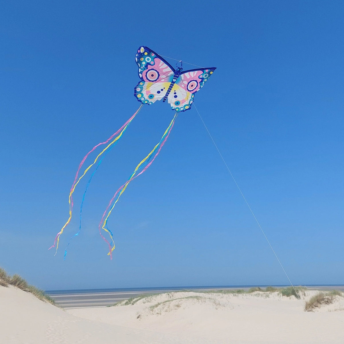 Cometa Maxi Mariposa