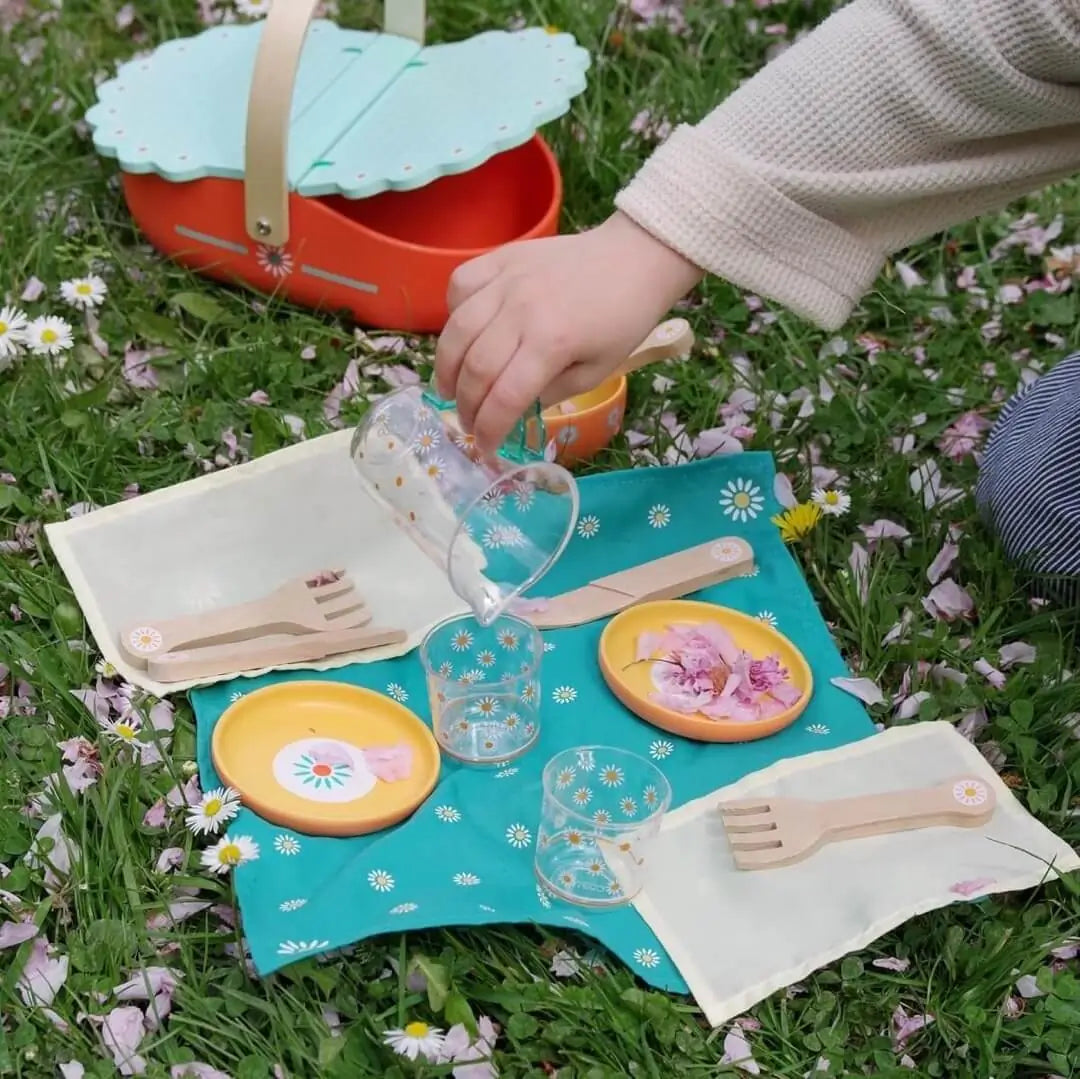 Set de Picnic