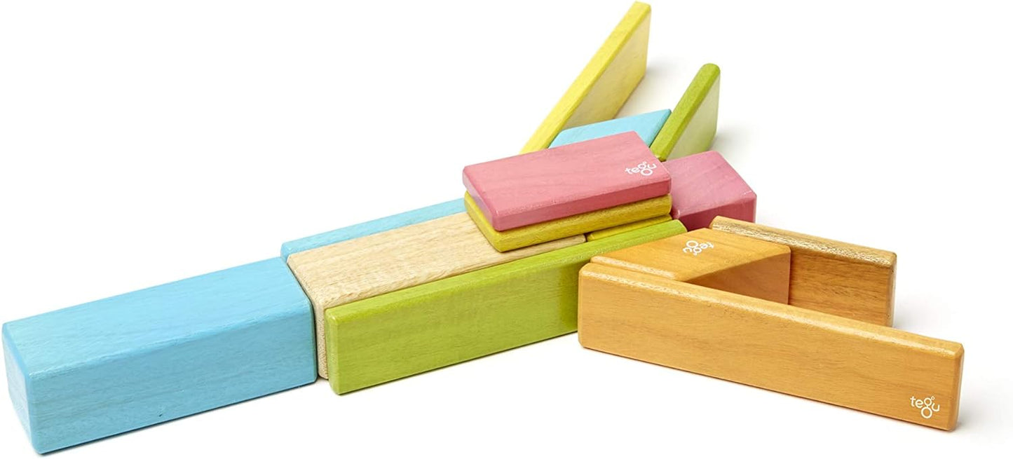 Tegu Tints 14 Piezas Bloques Magnéticos de Madera